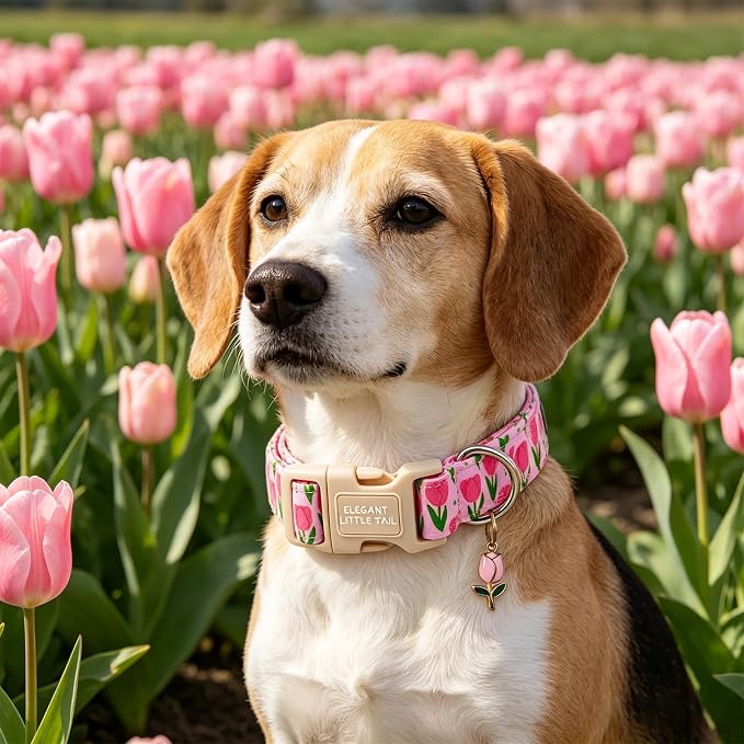 Elegant Little Tail Summer Dog Collar, Pink Tulip Floral Pattern Soft Cotton Pet Collars with Sturdy Quick Release Female Adjustable Pet Collar for Small Medium Large Dogs