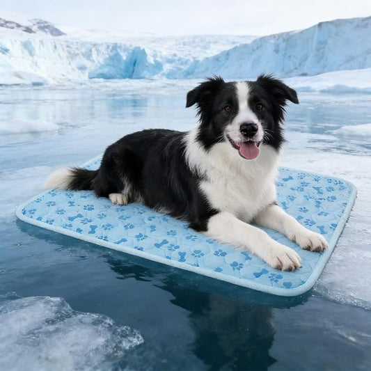 Dog Cooling Mat, Pet Cooling Mat for Dogs and Cats, Portable Summer Dog Cool Pad,Cool Bed for Pets, Premium Pet Cool Blanket for Summer