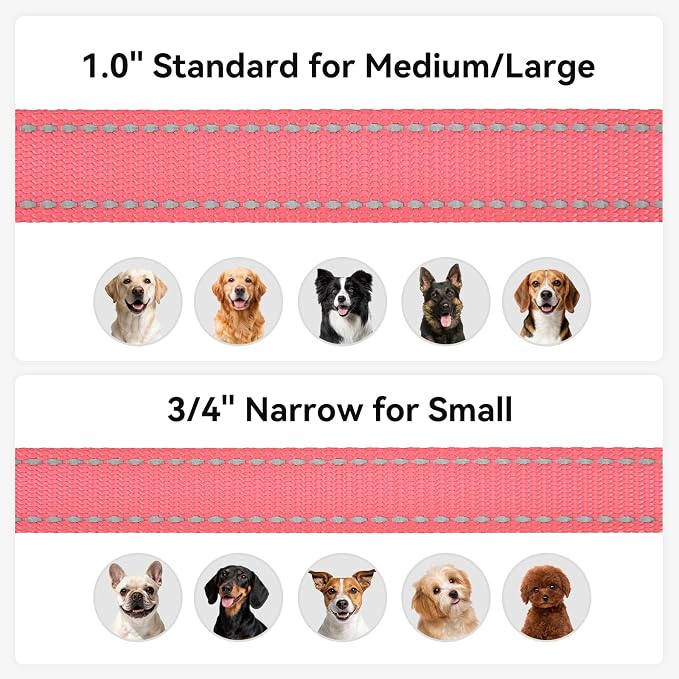 Joytale Dog Leash, 5 FT Double-Sided Reflective, Padded Handle Nylon Heavy Duty Leashes for Small Dogs Walking, Neon Pink