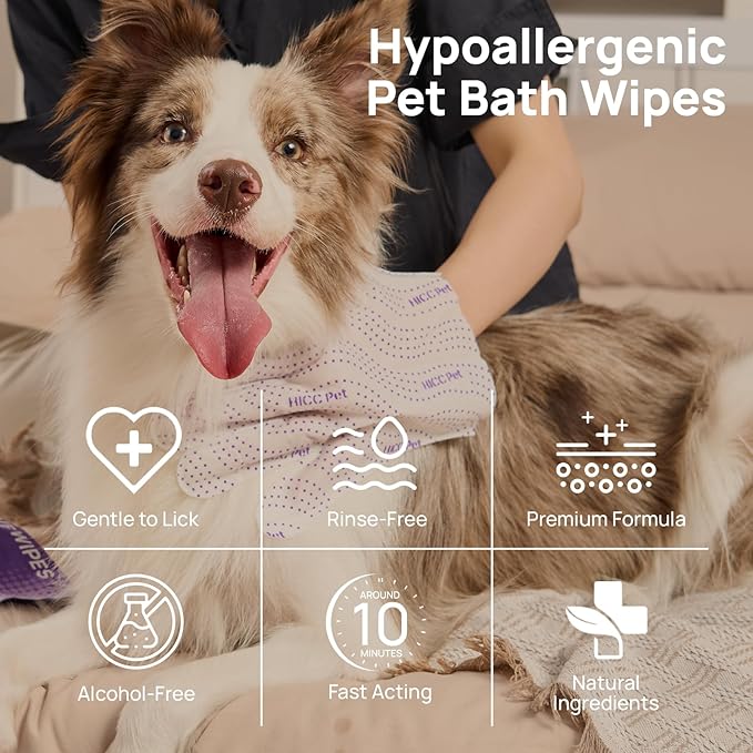 HICC PET Dog Wipes Cleaning Deodorizing PRO for Dogs&Cats, 20PCS Hypoallergenic Puppy Wipes, No-Rinse Pet Wipes, Extra Thick Dual-Textured Pet Glove Wipes for Paws, Face, Ears & Butt, Coconut Scent