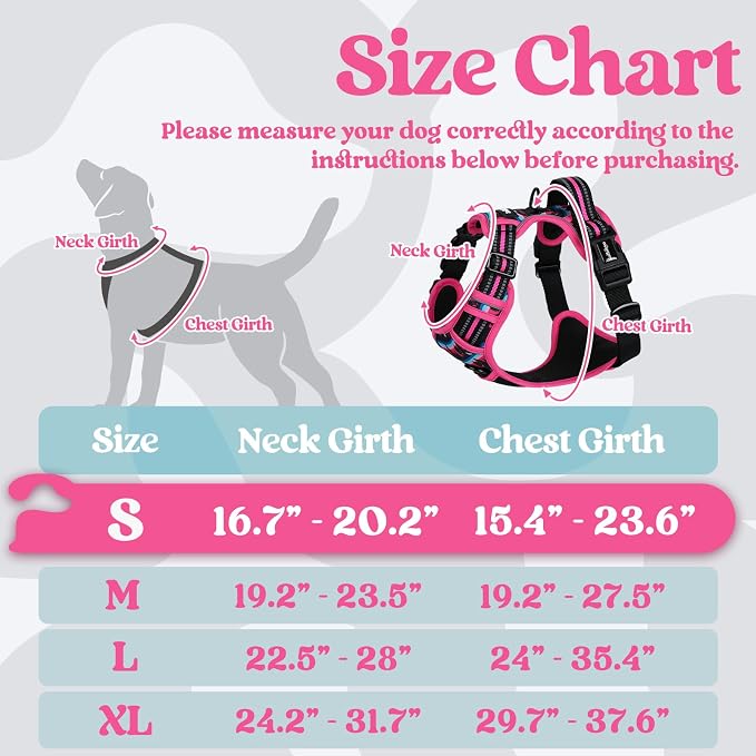 rabbitgoo Dog Harness Small Sized, No Pull Easy On & Off with 3 Buckles Pet Harness, Adjustable Soft Walking Vest with 2 Clips and Handle, Reflective for Small Dogs, Mountain Rose, S