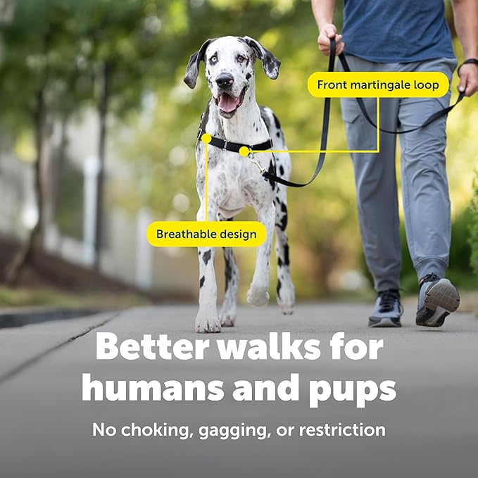 PetSafe Easy Walk No-Pull Dog Harness - Ultimate Harness to Help Stop Pulling - Pull-Free Walks - Take Control & Teach Better Leash Manners - Patented Martingale Loop Design - Charcoal Gray, X-Large
