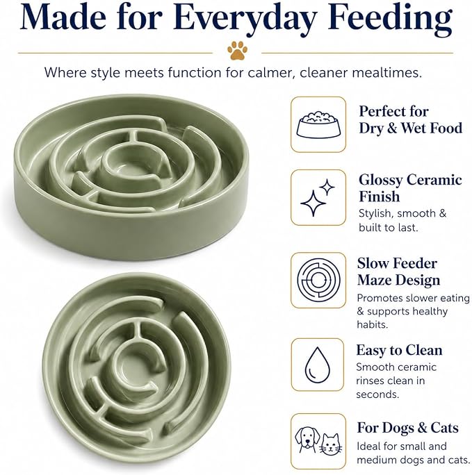 Ceramic Slow Feeder Dog Bowls with Anti-Slip, Slow Feeder & Non-Slip Design, Boredom and Anxiety Reducer, Suitable for All Breed Dogs and Cat (Ceramic-Green)