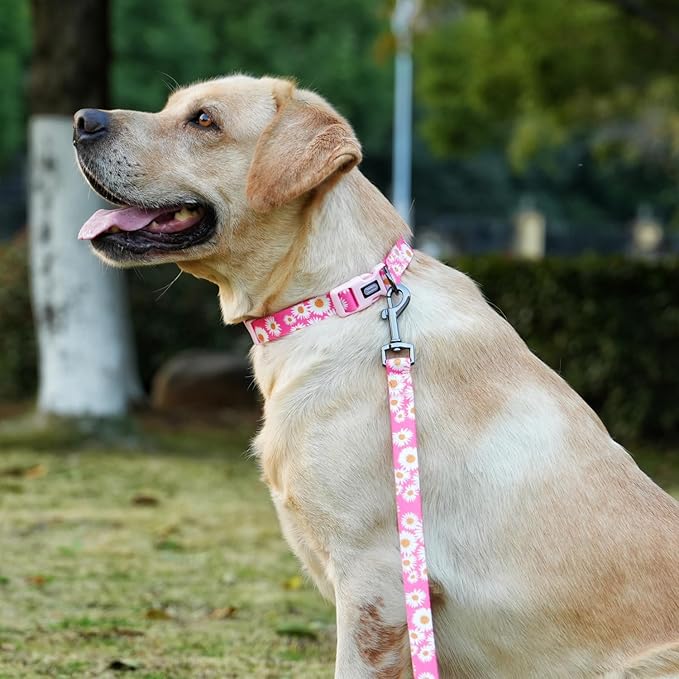 Dog Collar and Leash Set, Cute Pink Daisy Pattern, Polyester Material, 5ft Leash, for Puppy Dogs.(Extra Small, Pink Daisy)