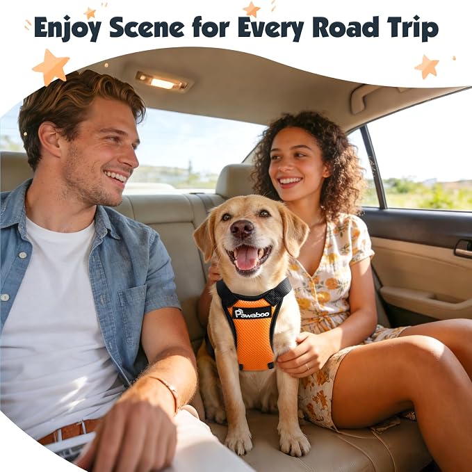 Pawaboo Dog Seat Belt Harness for Car, Dog Car Harness Seatbelt with Double Clips, Adjustable Breathable Pet Vest & Dogs Safety Tether with Elastic Bungee for Small Medium Large Pet, L, Orange/Black