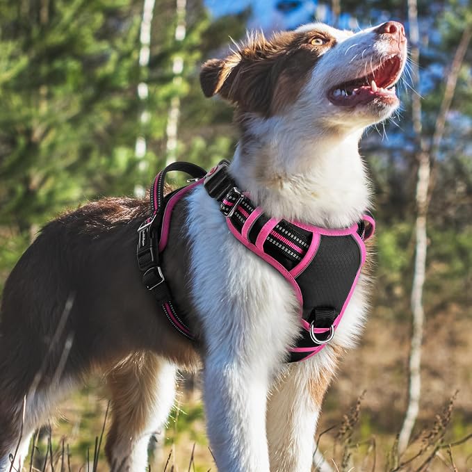rabbitgoo Dog Harness Medium Sized, 3 Buckles Easy On & Off No Pull Pet Vest, Soft Padded Walking Pet Harness with Control Handle, Adjustable and Reflective, Black & Rose Pink, M