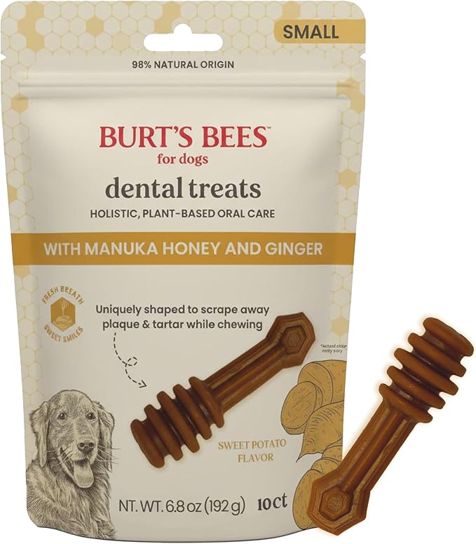 BURT'S BEES FOR PETS Dental Treats for Dogs with Manuka Honey & Ginger, 98% Natural Origin, Holistic Oral Care, Freshens Breath, Sweet Potato Flavor, Small Size, 10 ct, 6.8 Oz