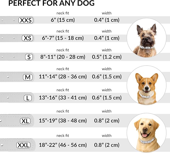 CollarDirect Rolled Leather Dog Collar, Soft Padded Round Puppy Collar, Handmade Genuine Leather Collar Dog Small Large Cat Collars 13 Colors (12-15 Inch, White Smooth)