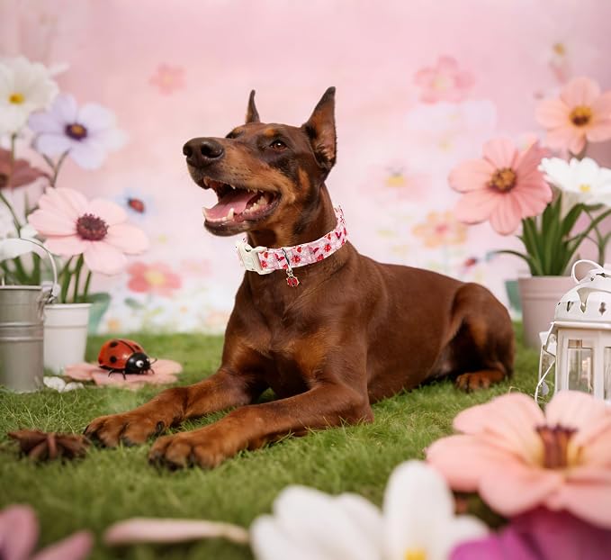 Maca Bates Spring Pink Basic Dog Collar with Ladybug Charm for Extra Large Girl Boy Dogs, Ladybugs Pattern,Pretty Adjustable Durable Soft Collars Gift for Male Female Puppy
