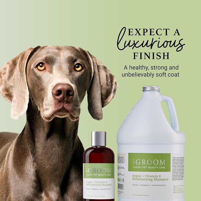 iGroom Argan+Vitamin E Dog Shampoo, Groom Like a Professional, Enhanced Cleaning Power, Recommended pH Balance, Made in USA, Gallon