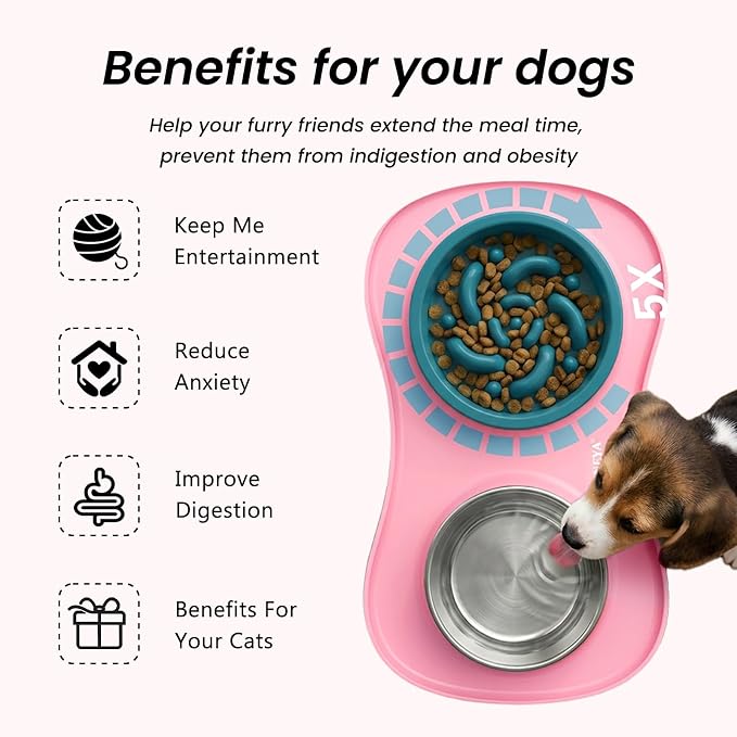 YINEYA 3 in 1 Slow Feeder Dog Bowls & Stainless Steel Food and Water Bowl with Non-Spill Dog Bowl Mat, Anti-Choking Puppy Bowls, Floor Safe & Easy Clean for Large Medium Small Dogs Cats