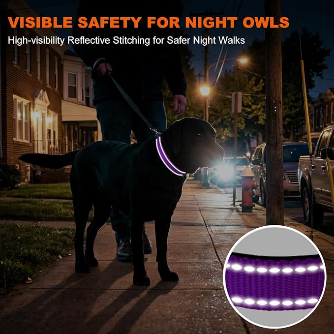 Taglory Reflective Dog Collar for Large Dogs, Soft Neoprene Padded with Escape-Proof Locking Buckle, Upgraded Zinc Alloy Ring, Adjustable for Pitbull Labrador Retriever, Purple,L