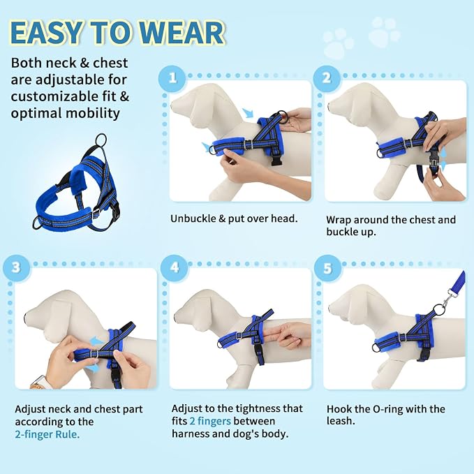 Lukovee No Pull Dog Harness and Leash Set, Soft Padded Small Dog Harness, Neck & Chest Adjustable Reflective Vest Puppy Harness with 4ft Lightweight Anti-Twist Dog Leash for Small Dogs (XXS, Blue)