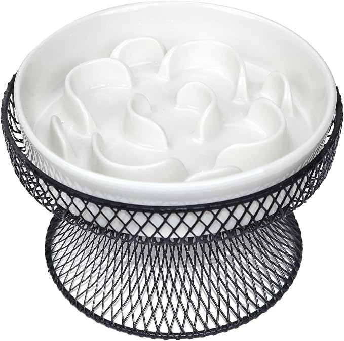 Raised Ceramic Cat Slow Feeder Bowl, Elevated Cat Plate with Stand, Slow Bowl for Wet and Dry Food, Whisker Friendly Pet Feeder for Kitten and Small Dog Perfect for Pet Gift