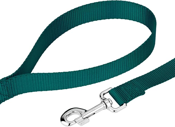 Country Brook Petz - Everyday Nylon Dog Leash - Strong, Durable, Solid Color Leash with Easy to Use Snap - 25+ Colors (1 Inch Wide, 4 Foot, Teal)