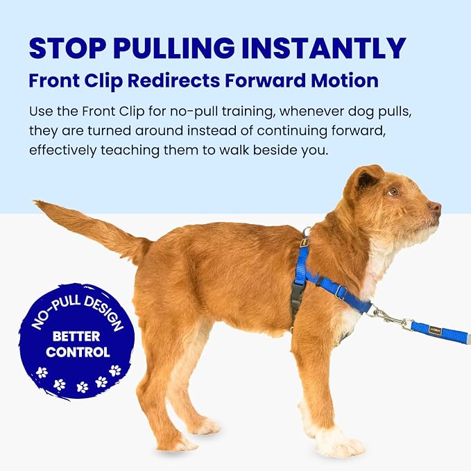 Easy Walk No Pull Dog Harness, Freedom Walk with Front and Back Clips Stainless D-Rings, Comfortable, Sewn-in Instructions Tags for Easy Use, for Medium Dogs Weight 30-39lbs (Blue, M)