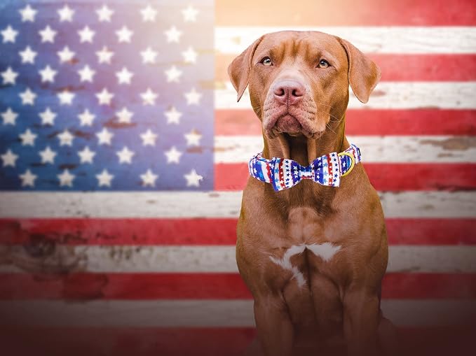 Maca Bates American Flag Dog Collar with Stars Bow Tie for Dogs Bowtie 4 of 7 Blue Red and White Adjustable Durable Patriotic Star Collars USA Independence Day for Small Medium Large Boy Girl Puppy