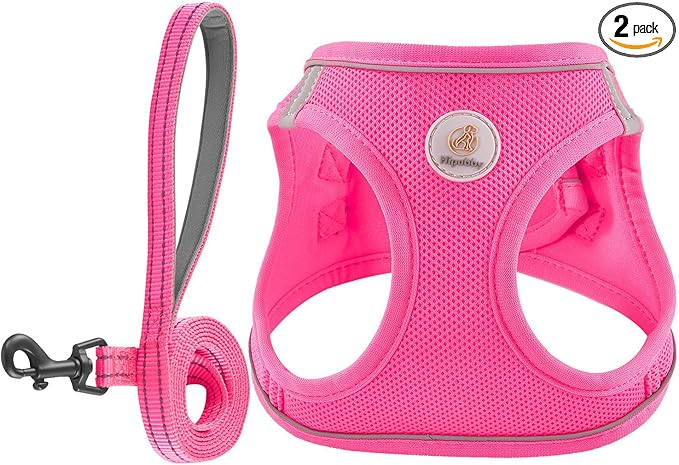 Hipubby Dog Harness and Leash Set, No Pull Soft Mesh Puppy Harness for Small Medium Dogs, Cats - Step in Reflective Breathable Lightweight Vest Harness for Walking, Training - Rose Red, S