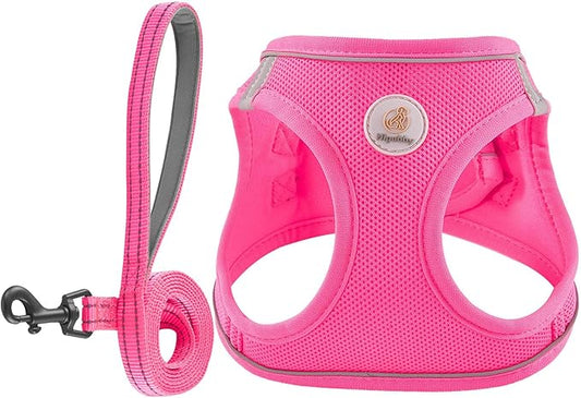 Hipubby Dog Harness and Leash Set, No Pull Soft Mesh Puppy Harness for Small Medium Dogs, Cats - Step in Reflective Breathable Lightweight Vest Harness for Walking, Training - Rose Red, XXS