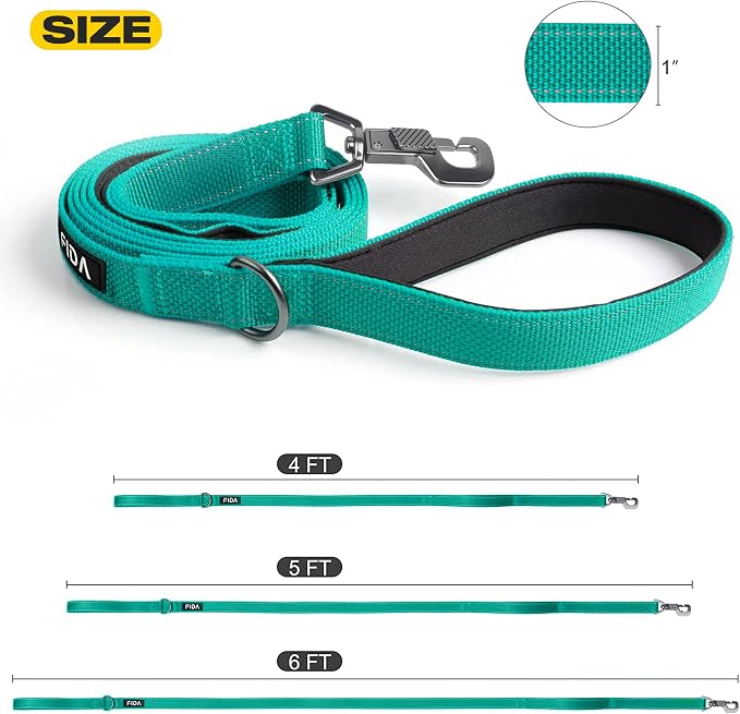 Fida 6 FT Heavy Duty Dog Leash with 2 Comfortable Padded Handles, Traffic Handle & Advanced Easy Snap Hook, Reflective Walking Lead for Large, Medium & Small Breed Dogs, Teal