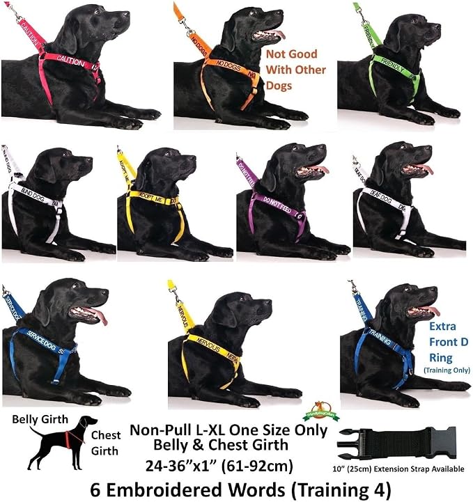 Dexil Training (in Training/Do Not Disturb) Blue Warning Dog Colour Coded Padded 1.8m 6ft Lead Leash