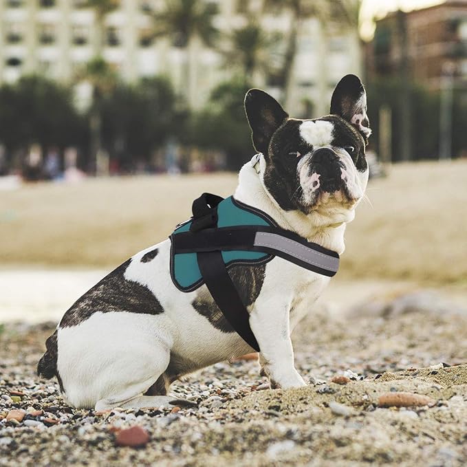 Dog Harness, No-Pull Reflective Dog Vest, Breathable Adjustable Pet Harness with Handle for Outdoor Walking - No More Pulling, Tugging or Choking (Turquoise, XS)