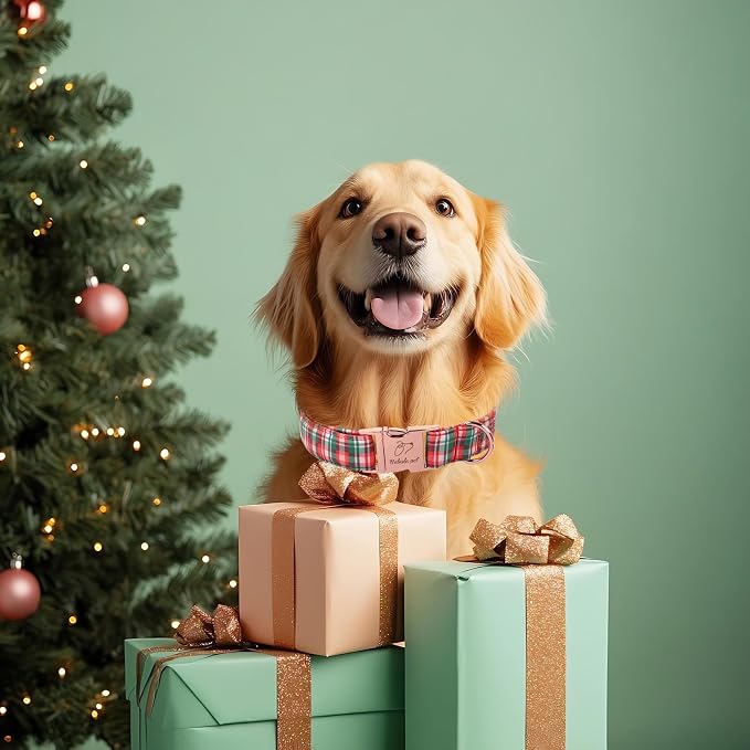 Christmas Plaid Dog Collar for Puppy Small Dogs - Green & Rose Tartan Christmas Collars for Dogs, Sweet Festive Winter Heavy-Duty Adjustable Dog Collars with Metal Buckle XS