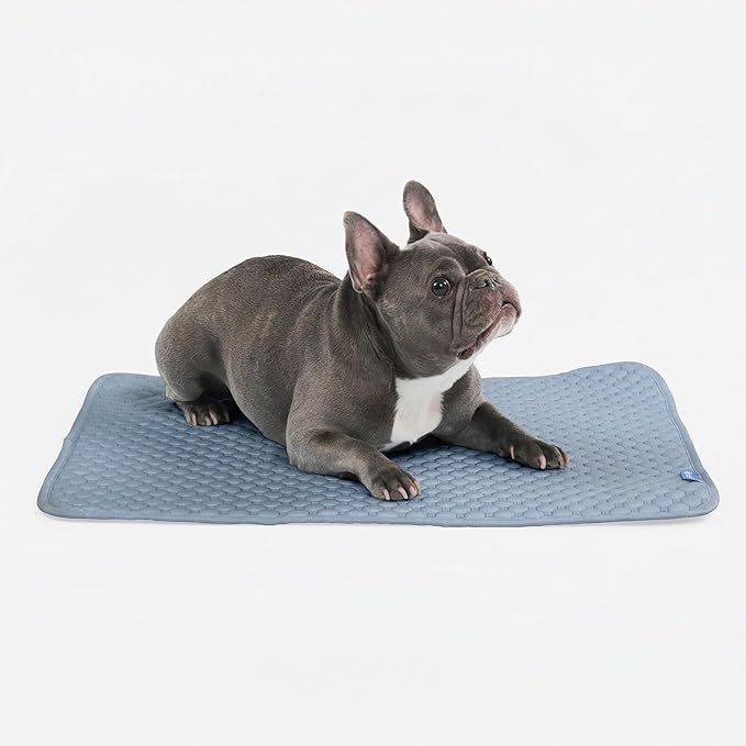 Spark Paws Cooling Mat for Dogs - Self Cooling Dog Mat & Pet Cooling Pad for Large, Medium & Small Dogs - Non-Toxic, Non-Gel Washable Cooling Bed - Ash Blue - Size M