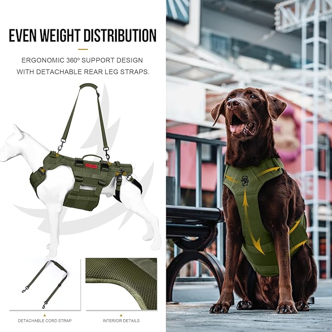 OneTigris Dog Lift Harness for Large Dogs, Dog Hip Support Brace, Full Body Lifter with Handles Invictus Multifunctional Mobility Assistance Vest for Back Legs (Green, Medium)