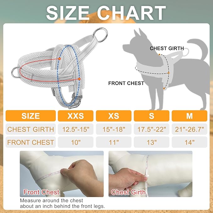 BEAUTYZOO Dog Harness for Small Dogs, No Pull Dog Harness and Leash Set, Soft Escape Proof Puppy Vest Harness with Handle, Reflective Lightweight Step in Harness for Girl Boy Dogs, Purple XS