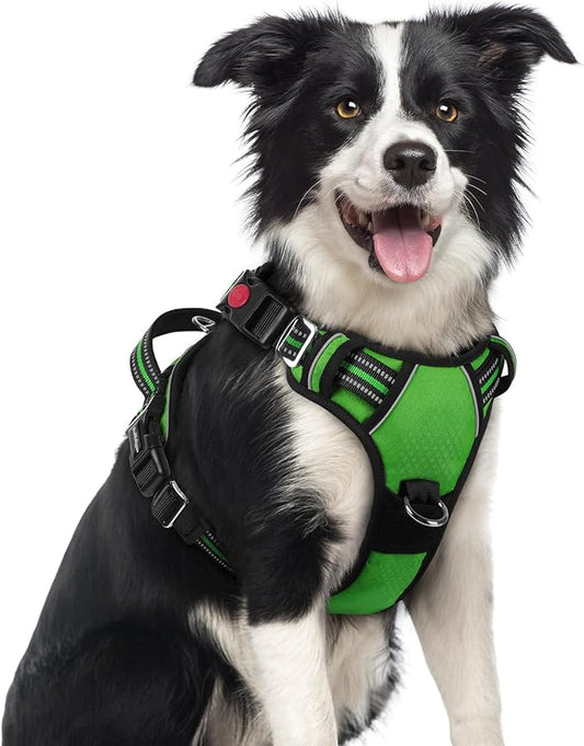 rabbitgoo Dog Harness Medium Sized, 3 Buckles Easy On & Off No Pull Pet Vest, Soft Padded Walking Pet Harness with Control Handle, Adjustable and Reflective, Green, M