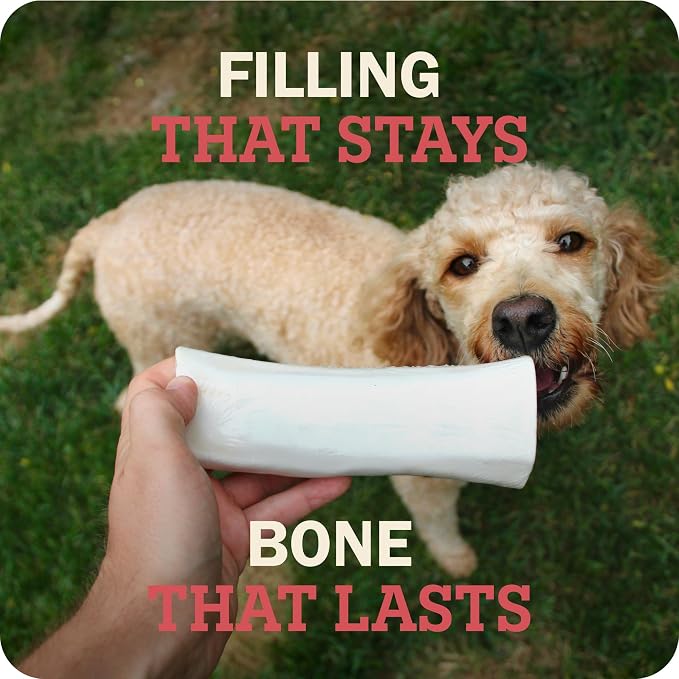 Redbarn Pet Products Large Filled Dog Bones, Cheese & Bacon Flavor - Long Lasting Stuffed Femur Chew Treat Made in USA - 4 Count - Packaging May Vary