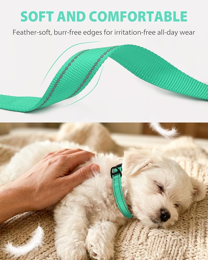 Joytale Small Dog Collar, Durable Double-Sided Reflective Nylon Collar for Night Safety, Adjustable Quick-Release for Active Breeds, Teal, S (3/4" Width)