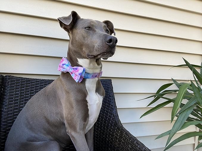 Elegant little tail Dog Collar with Bow, Colorful Pattern Soft Comfy Bowtie Dog Collar Adjustable Pet Gift Collars for Small Medium Large Dogs