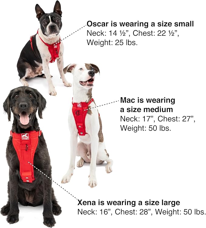 Kurgo Enhanced Strength Tru-Fit Dog Car Harness - Pet Travel Safety Harness - Crash Test Certified Fit - Five Point Adjustment - Secure Buckle - Padded Chest - Deep Violet - Small