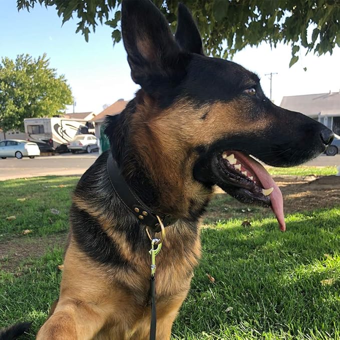 Genuine Leather Dog Collar, Heavy Duty Dog Wide Collar for Small,Medium,Large and Extra Large Dog (XL: 1.4" Wide for 18.6"-25.8" Neck, Single Stitch - Brown)