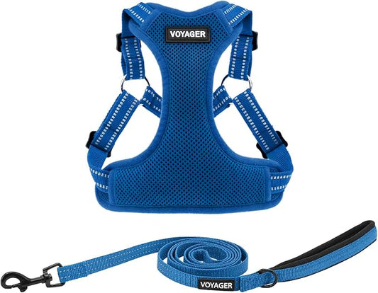 Best Pet Supplies Voyager Adjustable Step-in Flex Breathable Mesh Dog Harness for Small Medium Large Dogs Leash Set (Royal Blue), S