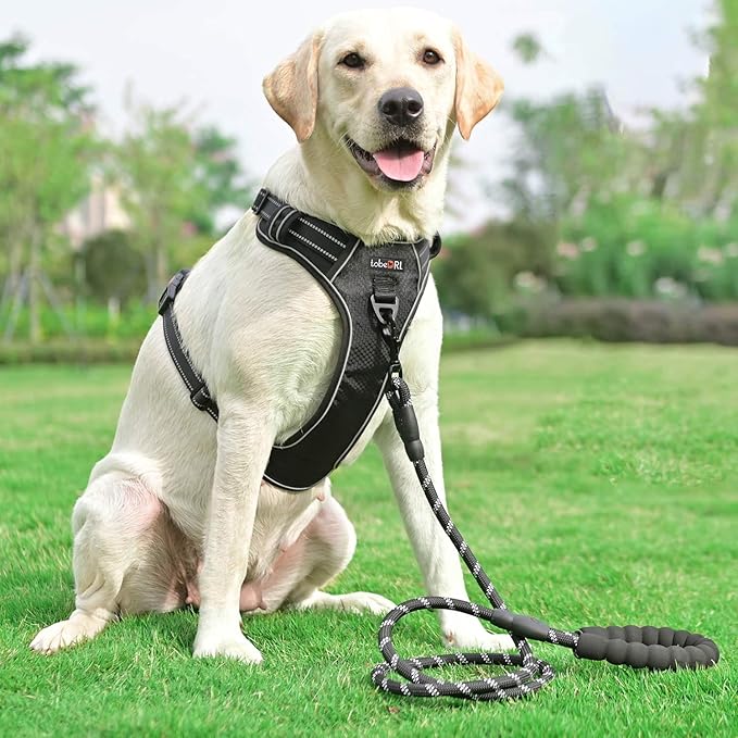 tobeDRI No Pull Dog Harness Adjustable Reflective Oxford Easy Control Medium Large Dog Harness with A Free Heavy Duty 5ft Dog Leash