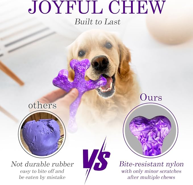Frienhund 4 Pack (Cactus) Indestructible Tough Dog Toys for Aggressive Chewers: Beef Flavored Chew Bone for Large Dogs 20-90 lbs, Long Lasting & Keep Them Busy