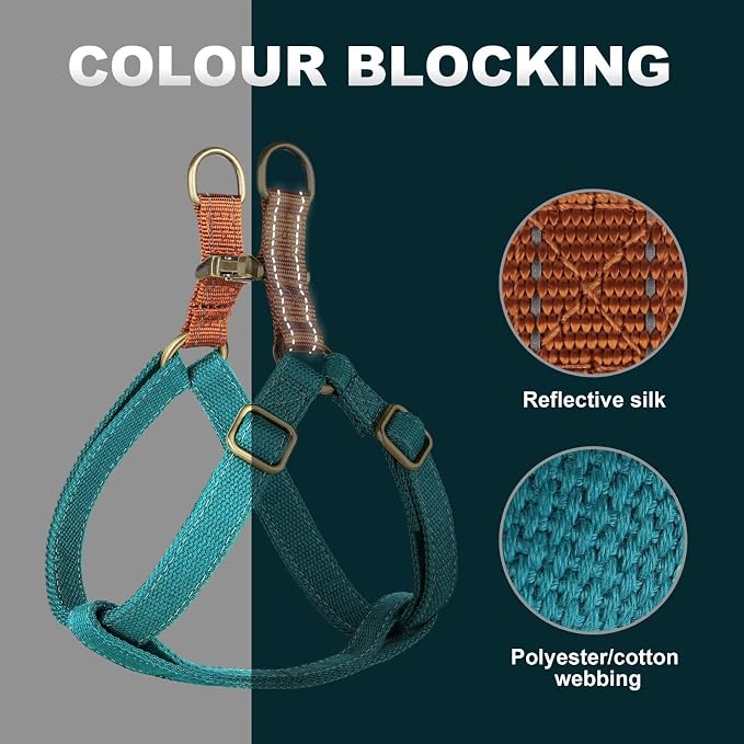 Didog Step in Dog Harness with Metal Buckles, Freedom Nylon Dog Halter Vests for Small Dogs Easy Walking Training(S:Chest 13-22", Blue)