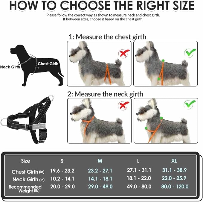 Lukovee No Pull Dog Harness and Leash Set - Adjustable Soft Padded Vest with Front Clip for Easy Control, Reflective Durable Harness for Safe Daily Training Walking for Medium Large Dogs (XL, Black)