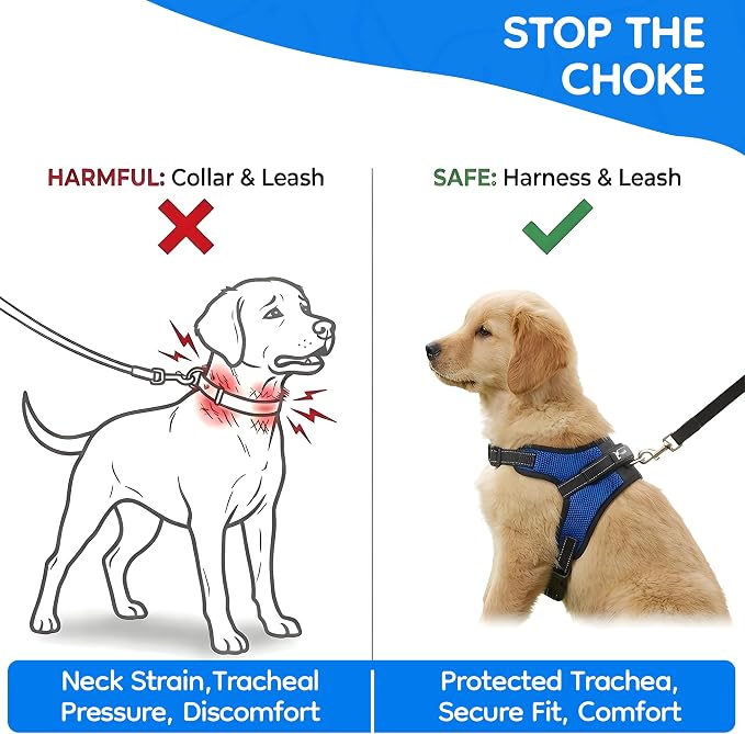 No Pull Reflective Adjustable Dog Harness With Handle- Comfortable Soft All Weather Mesh, Easy On Puppy Harness For Small Medium and Large Dogs (Blue) Small