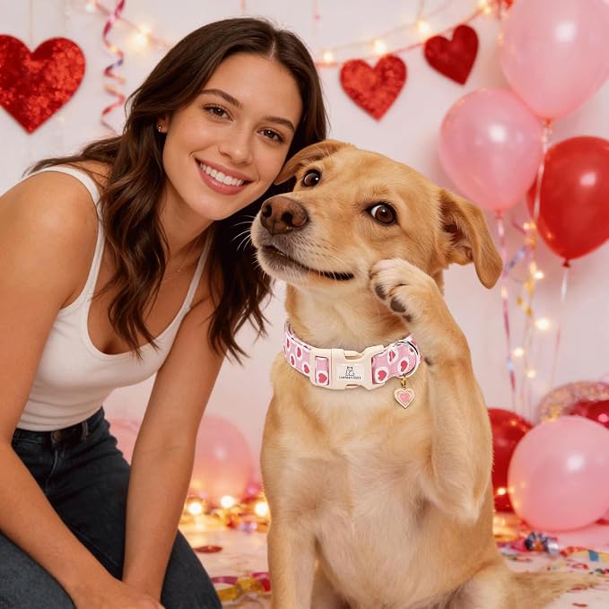 Lionheart glory Valentine's Day Dog Collar - Pink Heart Dog Collar Adjustable Soft for Small Puppy Girl Boy Dogs Spring Party Holiday Pet Collars