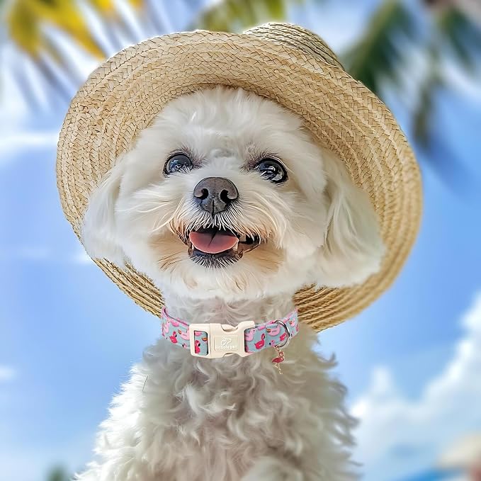 Summer Dog Collar Cute Flamingo Float Dog Collars for Small Dogs - Lightweight Adjustable Male Female Dogs Everyday Collar with Quick Release Buckle S