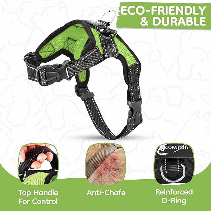 No Pull Reflective Adjustable Dog Harness with Handle- Comfortable Soft All Weather Mesh, Easy On Puppy Harness for Small Medium and Large Dogs (Green) Small