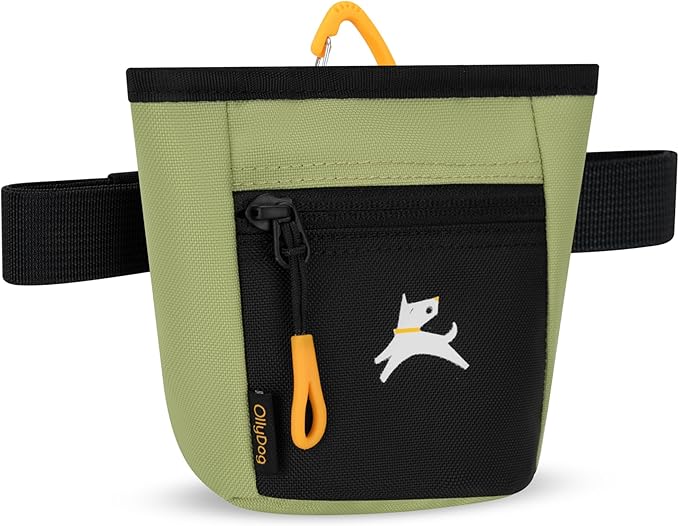 OllyDog, Goodie Treat Bag, Dog Treat Training Pouch | Magnetic Closure | 3 Ways to Wear | Hands-Free Waist Belt | Water-Resistant Recycled Vegan Fabric (Palm)
