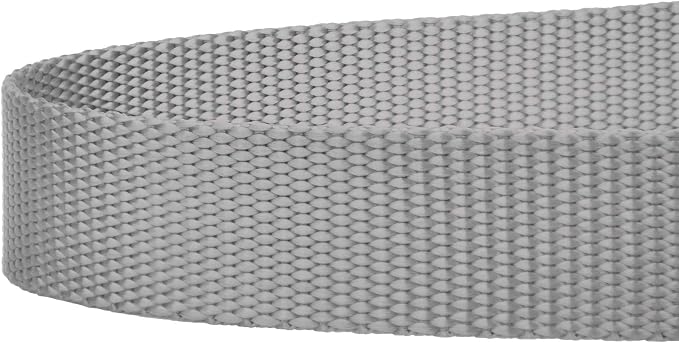 Country Brook Petz - Everyday Nylon Dog Leash - Strong, Durable, Solid Color Leash with Easy to Use Snap - 25+ Colors (1 Inch Wide, 4 Foot, Silver)
