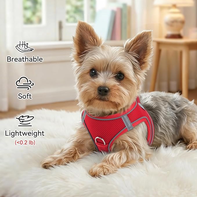 Joytale Small Dog Harness, Breathable Mesh Step-in Vest, Reflective Soft Padded Harnesses for Puppies and Extra Small Dogs, Red, XS