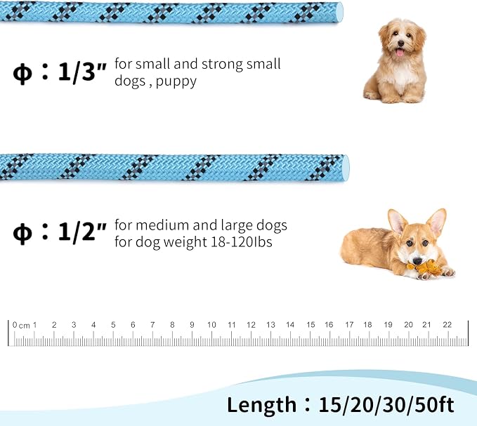 Long Dog Leash for Training 30Ft-Reflective Nylon Rope with Swivel Hook-Recall Agility Lead for Large Small Medium Dogs Outside Walking Hiking-Sky Blue Diam 1/2"