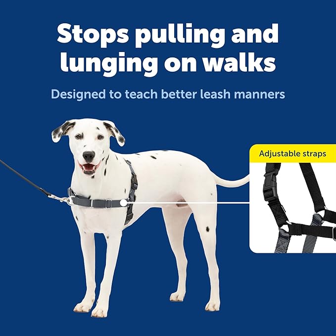 PetSafe Easy Walk No-Pull Dog Harness - Ultimate Harness to Help Stop Pulling - Pull-Free Walks - Take Control & Teach Better Leash Manners - Patented Martingale Loop Design - Gray, Medium/Large